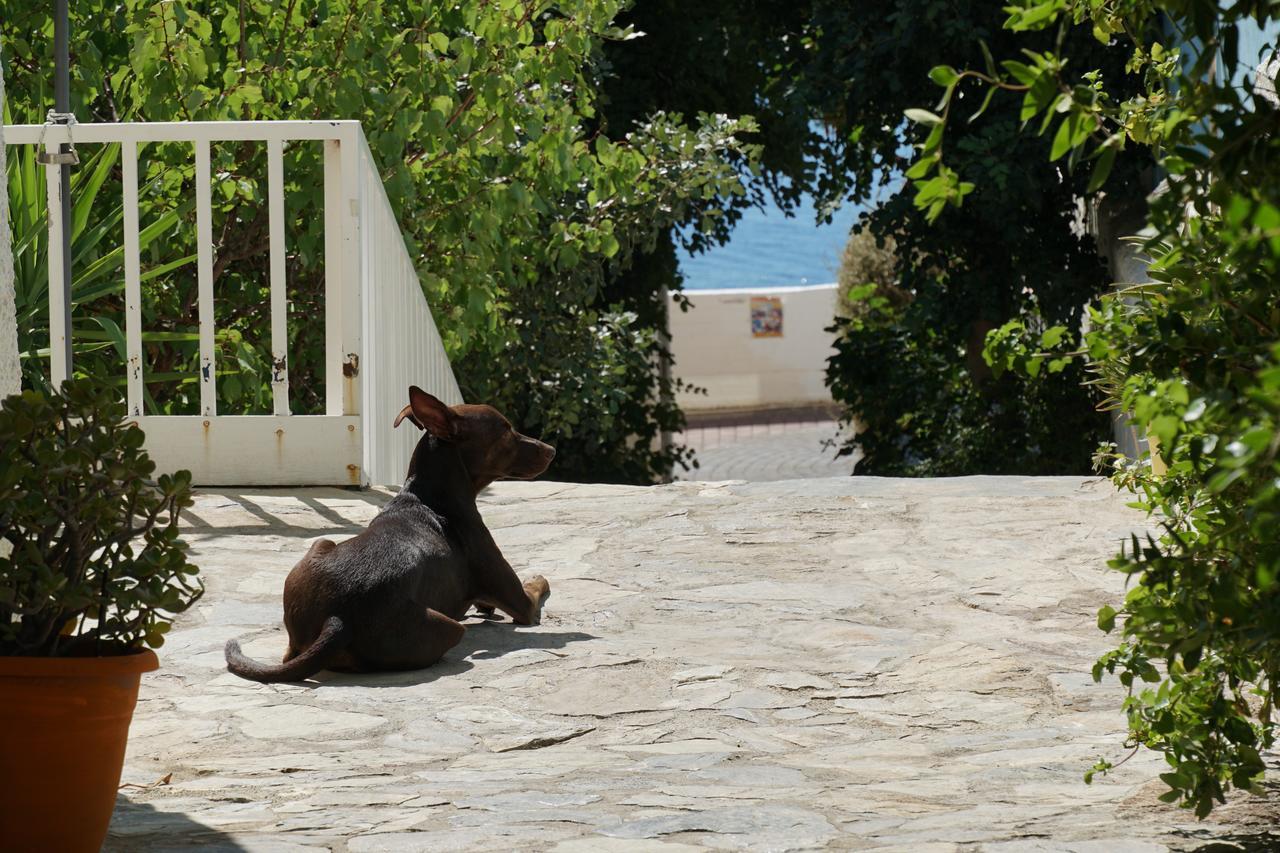 Galini Mare Hotel Agia Galini  Bagian luar foto